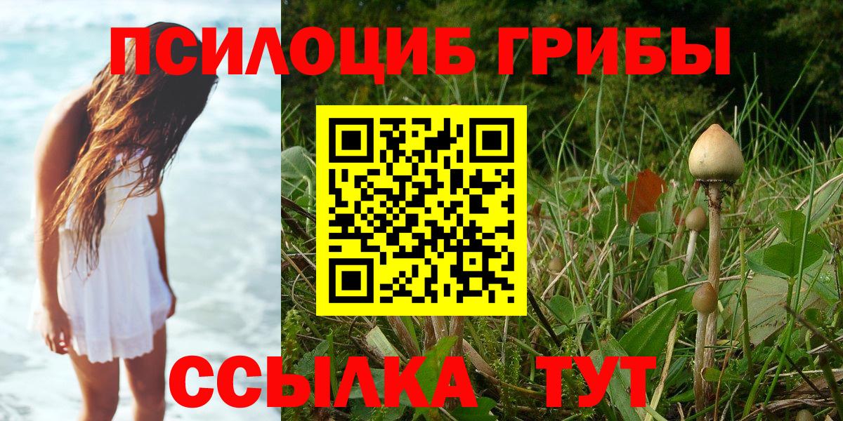 Галлюциногенные грибы прущие грибы  Вход с VPN  Сибай 